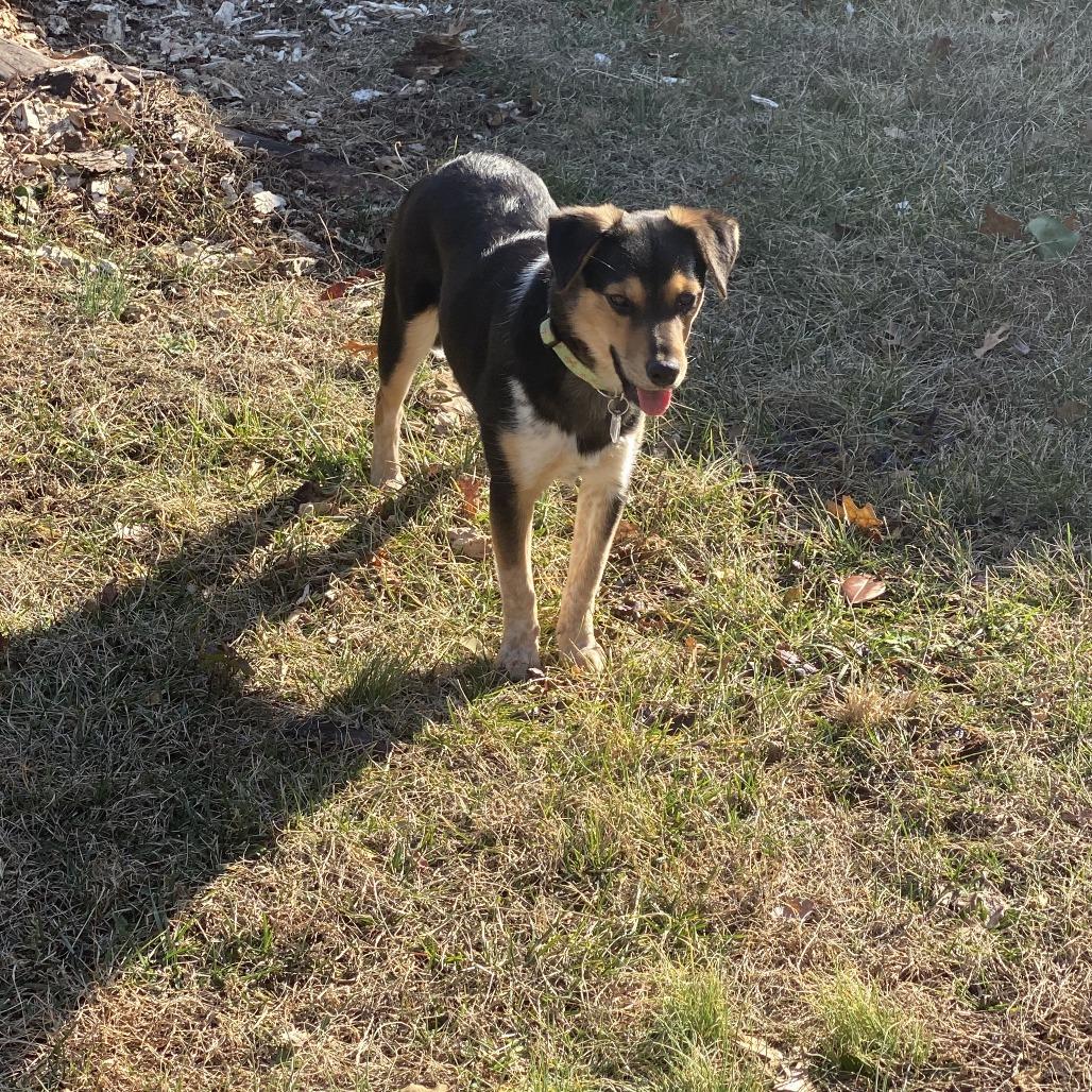 Sarah Lake — thumbnail 5