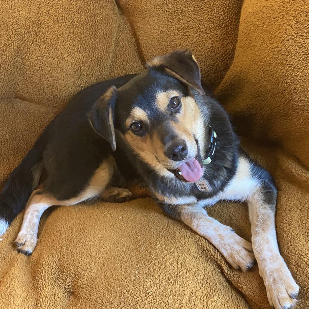 Sarah Lake — thumbnail 6