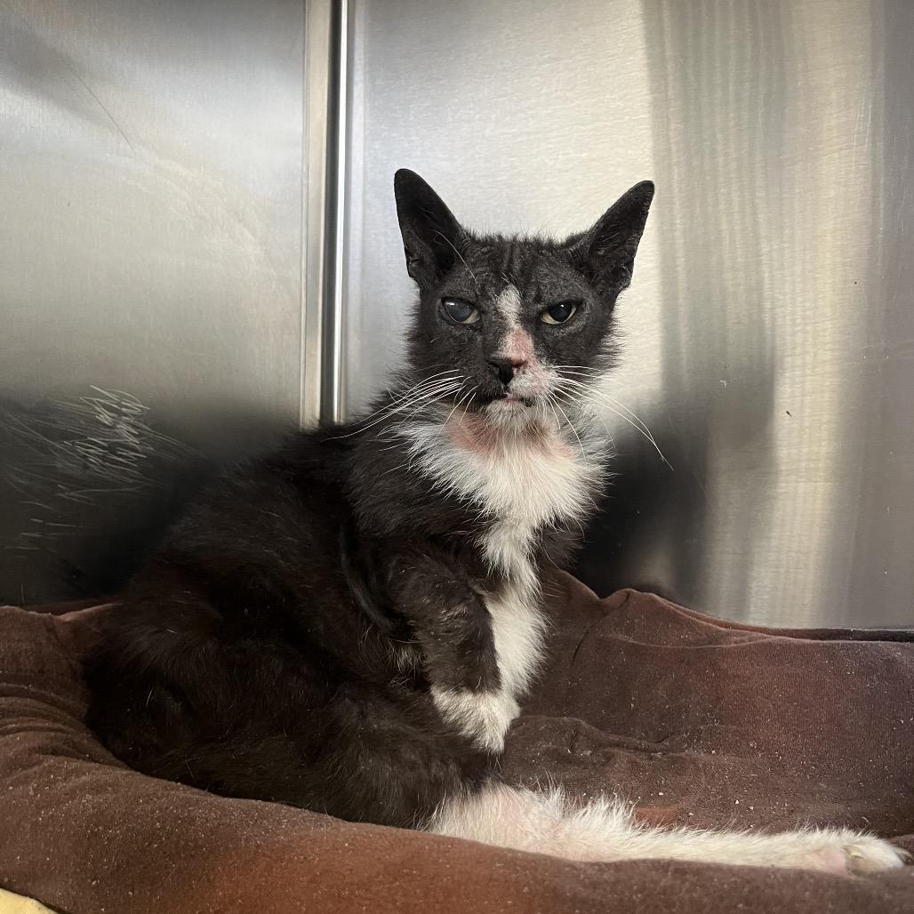 Trinity — thumbnail 3