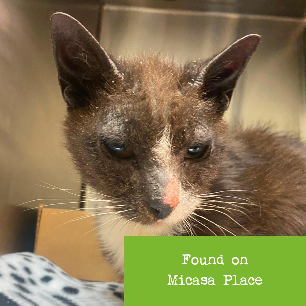 Trinity — thumbnail 5