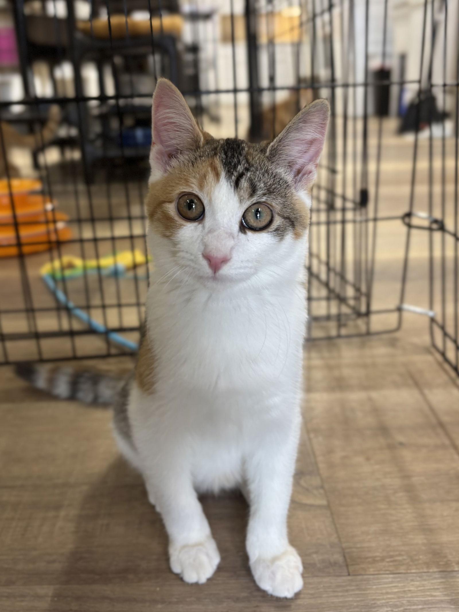 Wednesday thumbnail 2