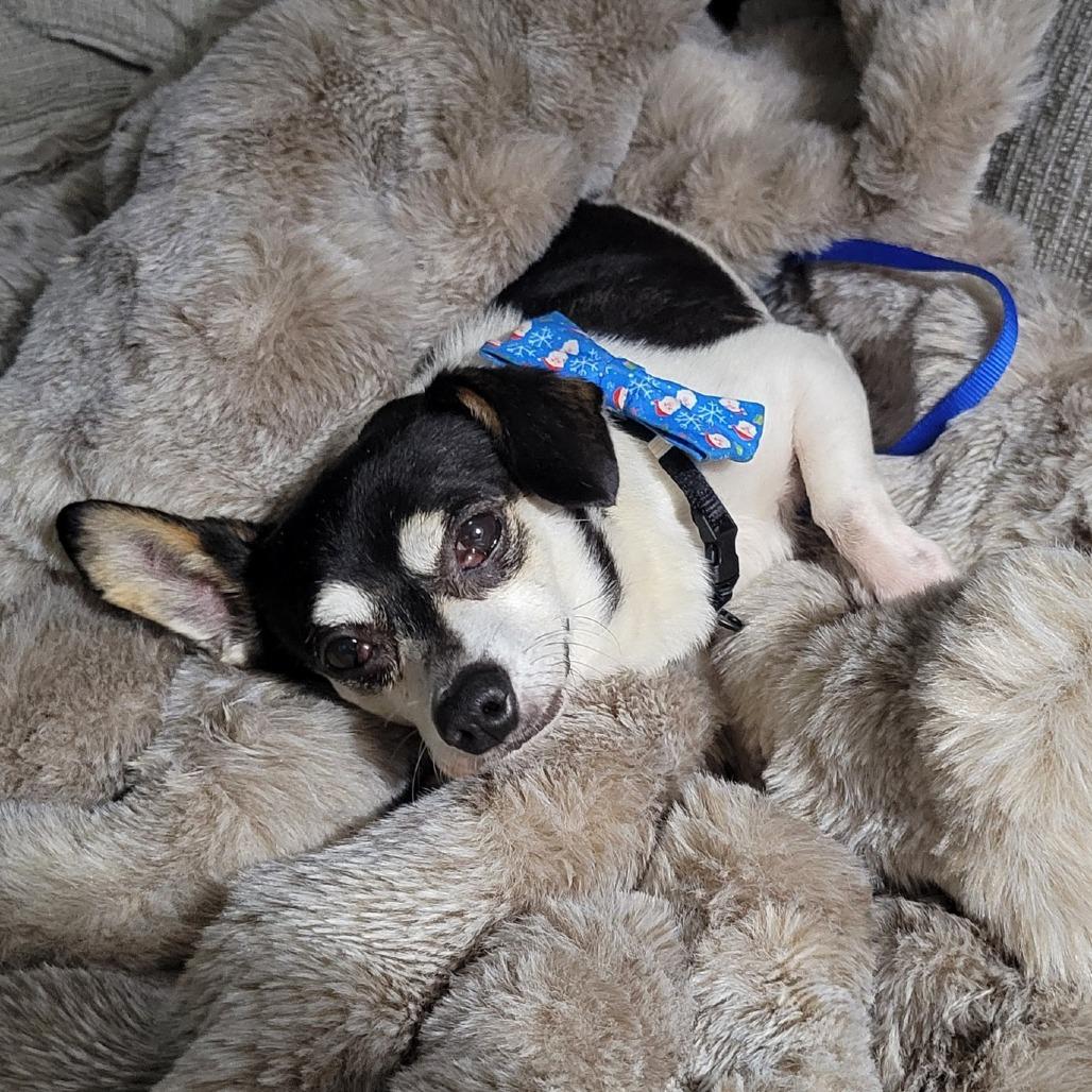 Drummer Boy — thumbnail 2