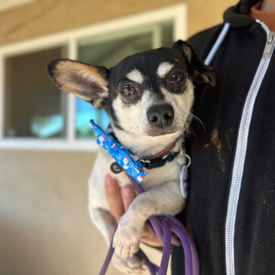 Drummer Boy — thumbnail 4