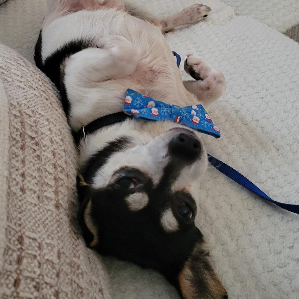 Drummer Boy — thumbnail 5