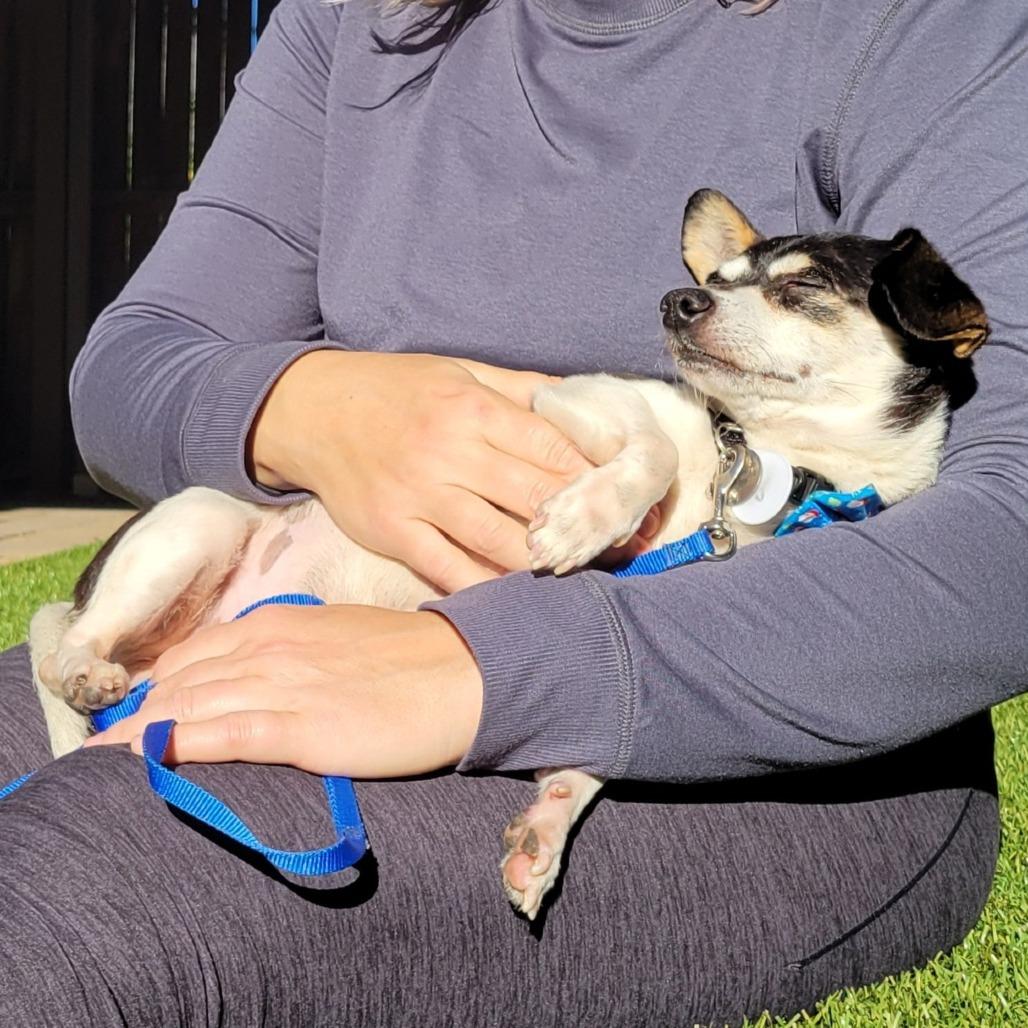 Drummer Boy — thumbnail 6