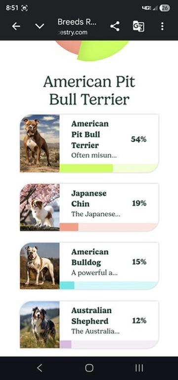 Enlarge Fern (in foster), an adopted mixed breed in Petersburg, VA image 6/6