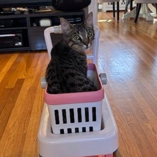 Miss Cuddles & Rocky – A Bonded Duo Full of Love and Laughter