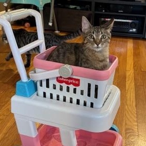 Miss Cuddles & Rocky – A Bonded Duo Full of Love and Laughter