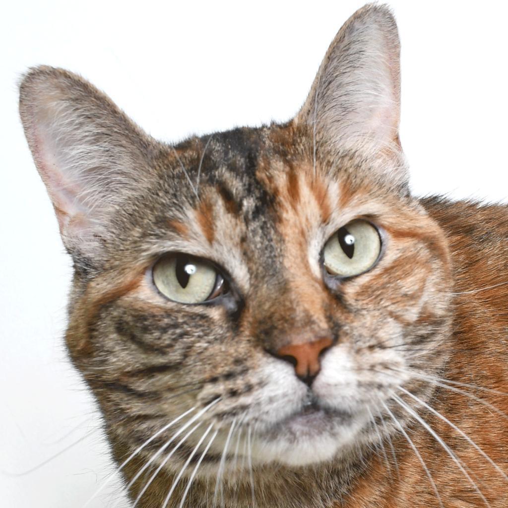 Oanna — thumbnail 2