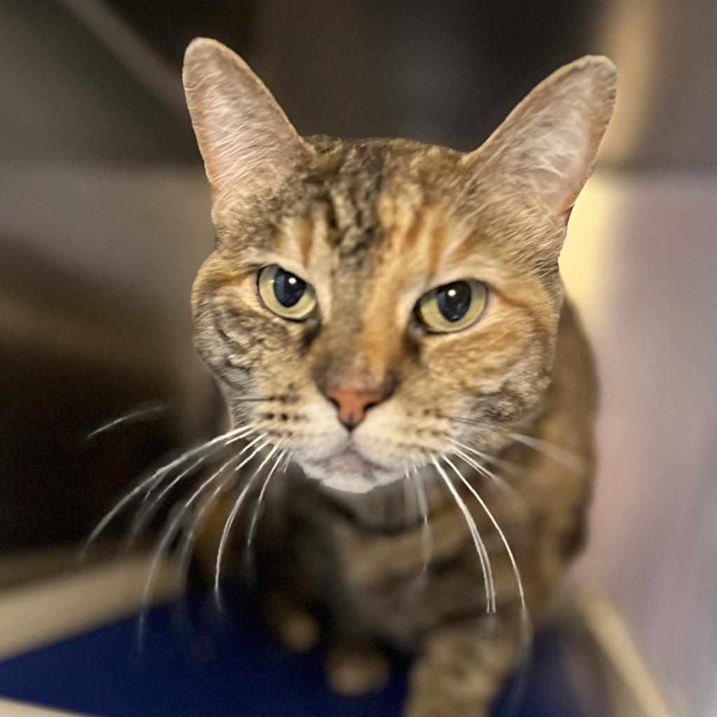 Oanna — thumbnail 3