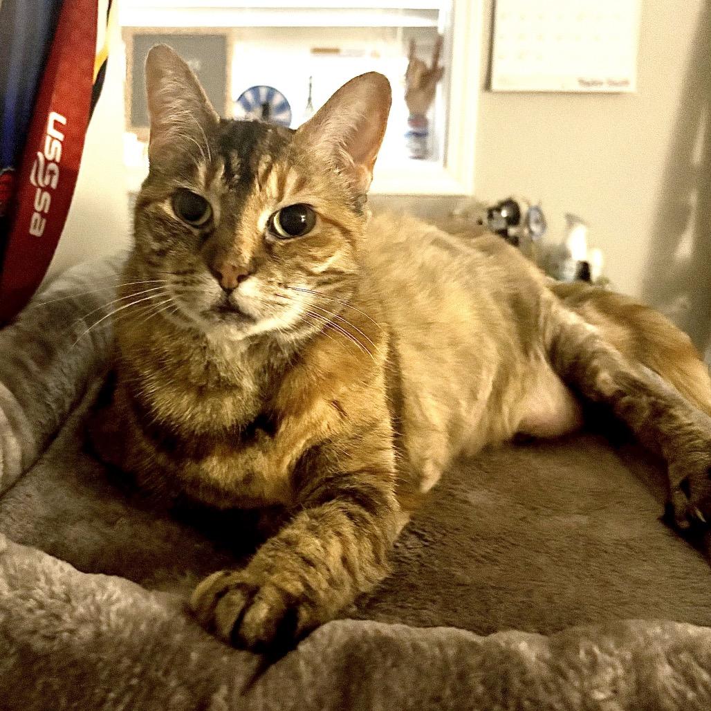 Oanna — thumbnail 4