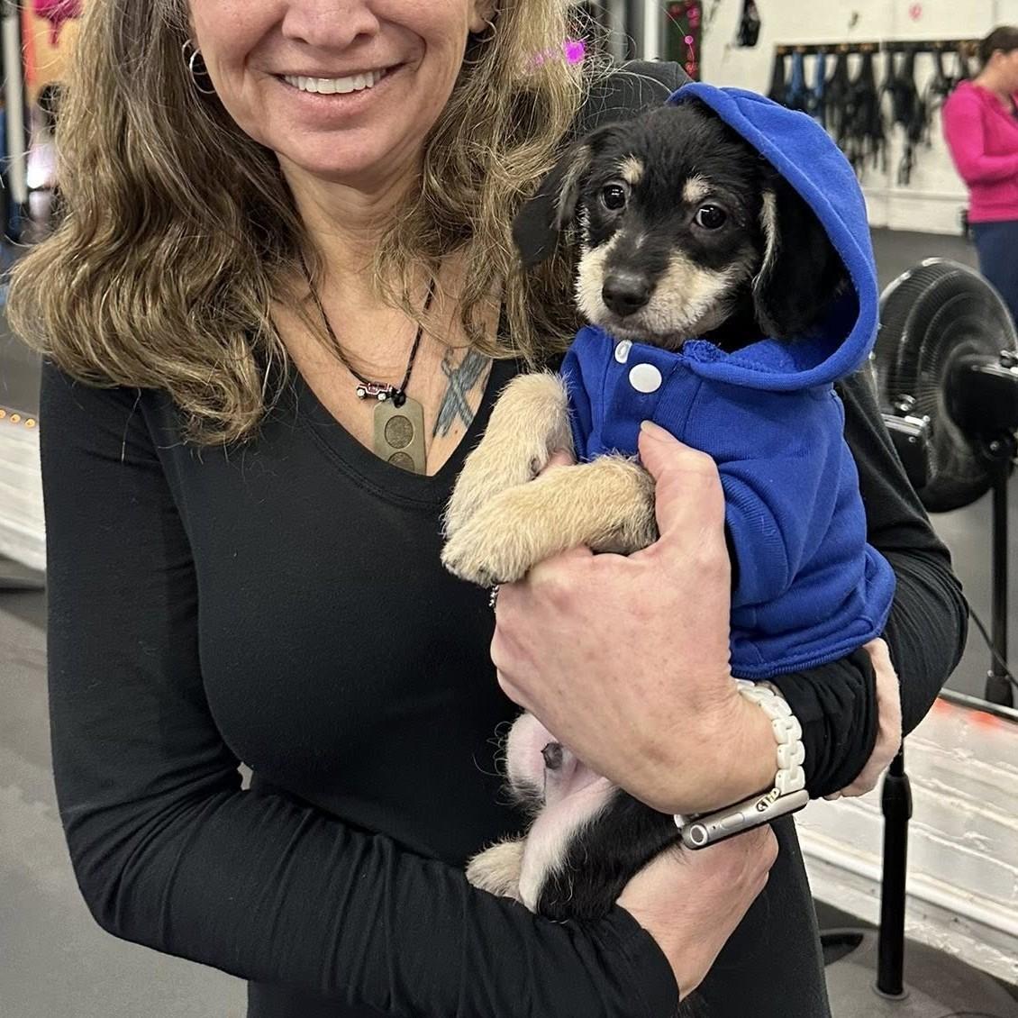 Enlarge Heathcliff, an adopted mixed breed in Winchester, KY image 2/3