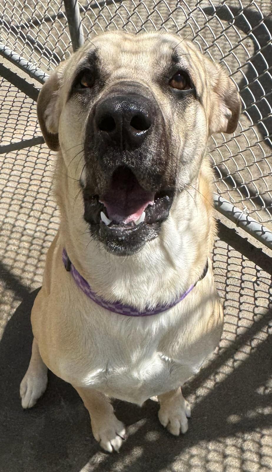 Maggie photo 1