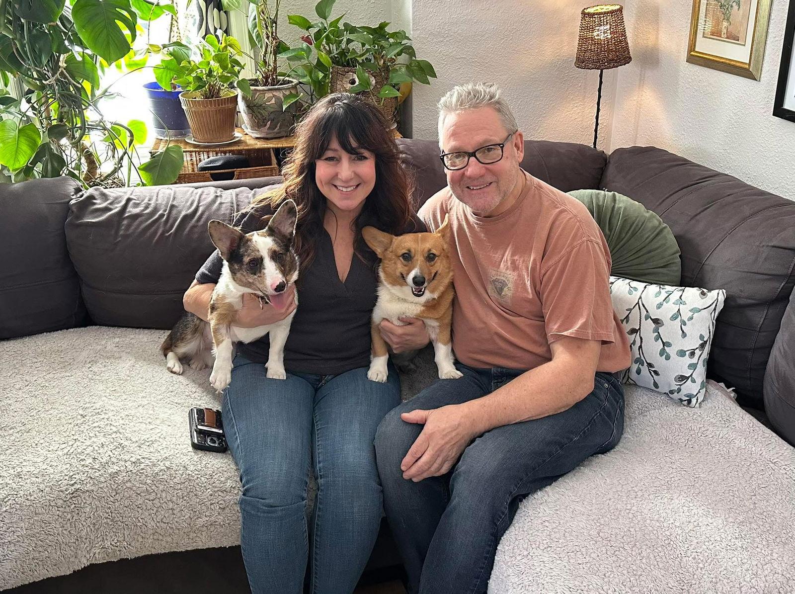 Enlarge Boba, a Adopted Corgi in Tonawanda, NY image 2/3