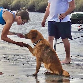 Enlarge Saturn, a ADOPTABLE mixed breed in Unionville, CT image 5/6