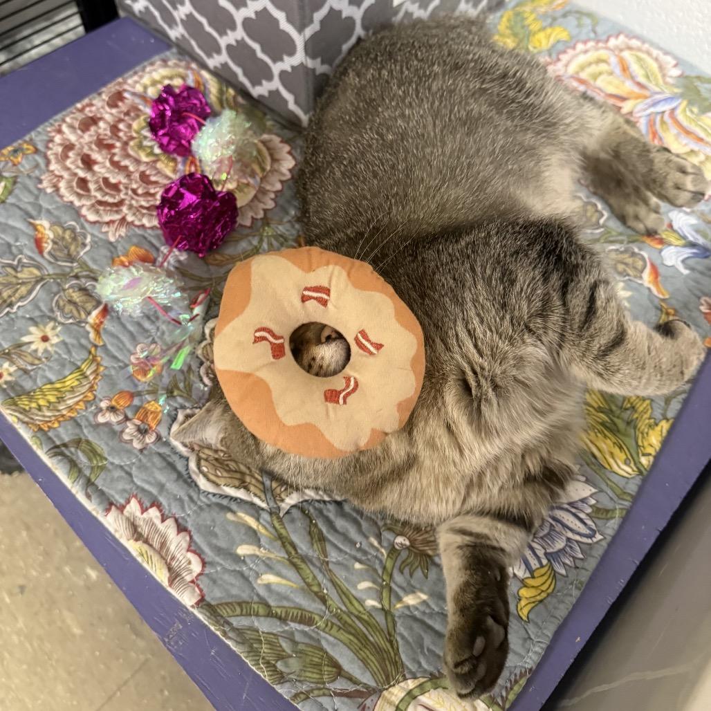 Feliciac thumbnail 3