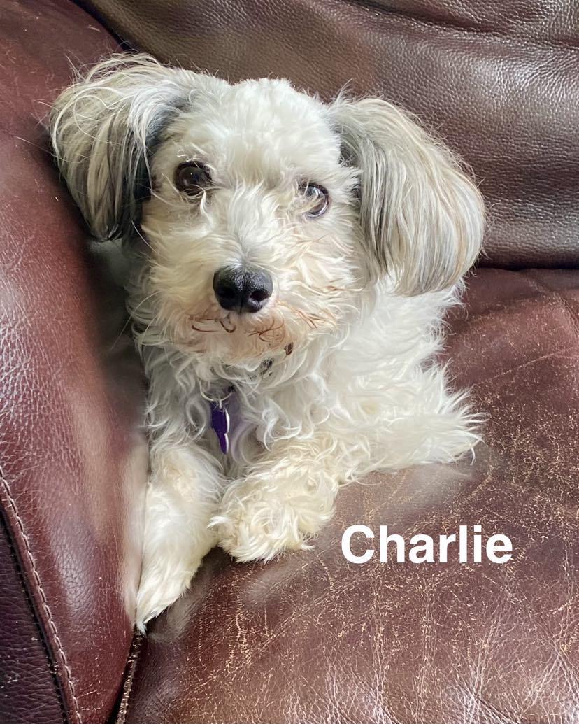 Charlie 2