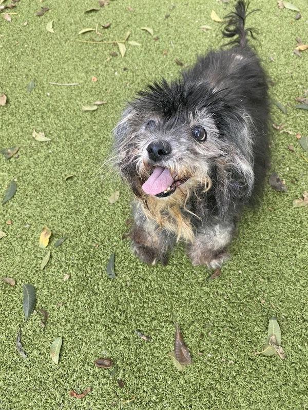 Lady Pablo thumbnail 2