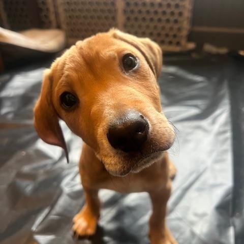 Sage Green — thumbnail 5