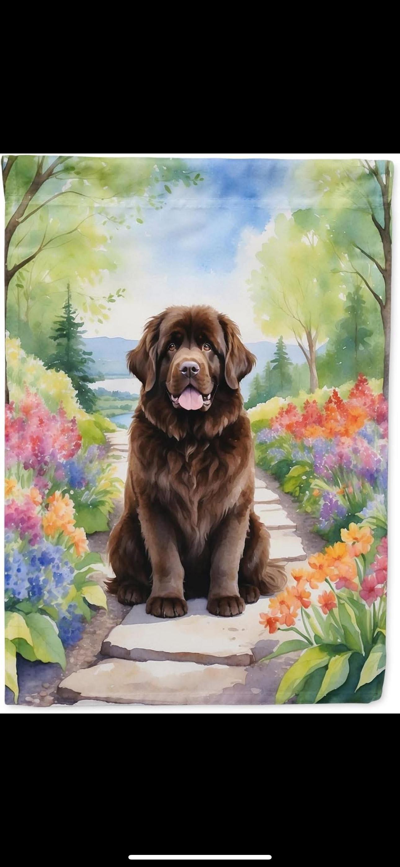 Enlarge Stevie, a Adopted Newfoundland Dog in Wagoner, OK image 3/5