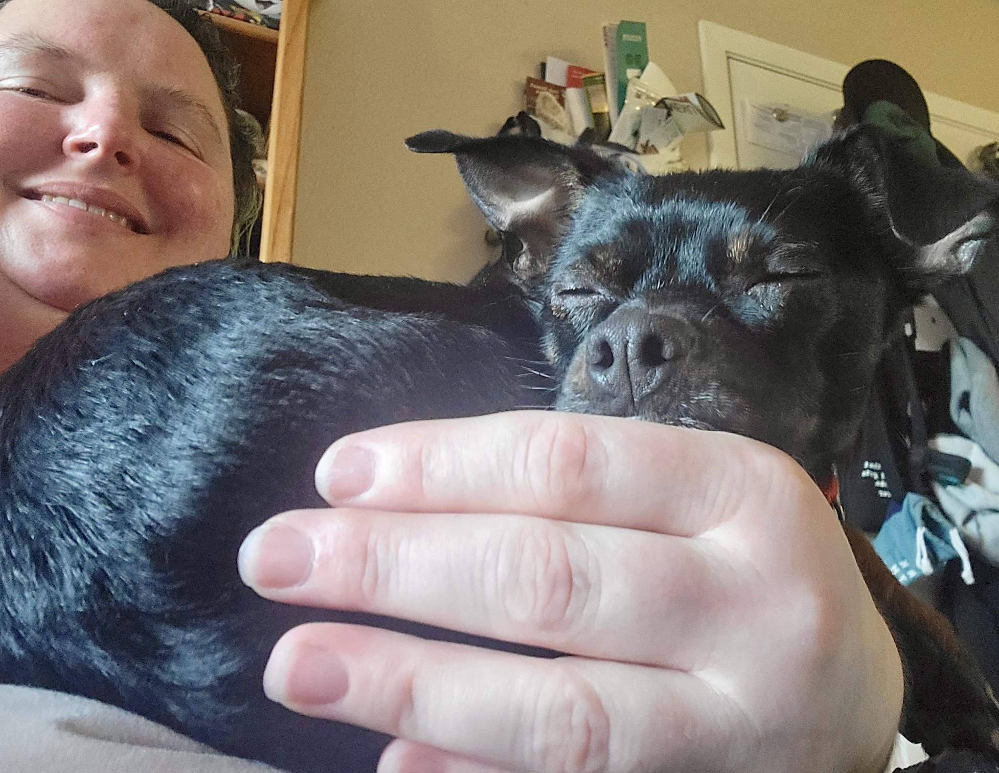 Gordo-:LOCAL sweet, snuggly, loves walks!