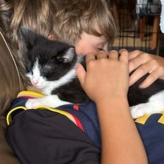 Lucky, a Adoptable mixed breed image 3/6