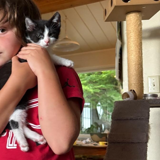 Lucky, a Adoptable mixed breed image 5/6