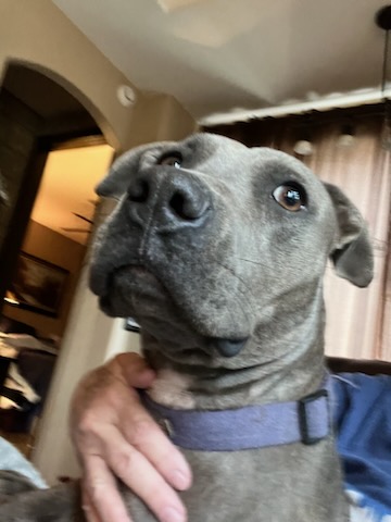 Holly photo 2
