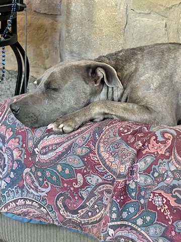 Holly photo 4