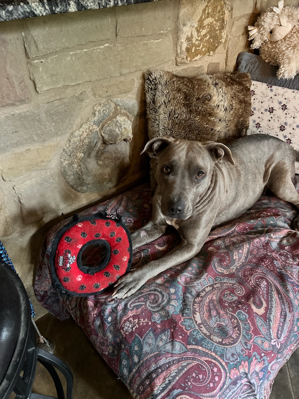 Holly photo 6