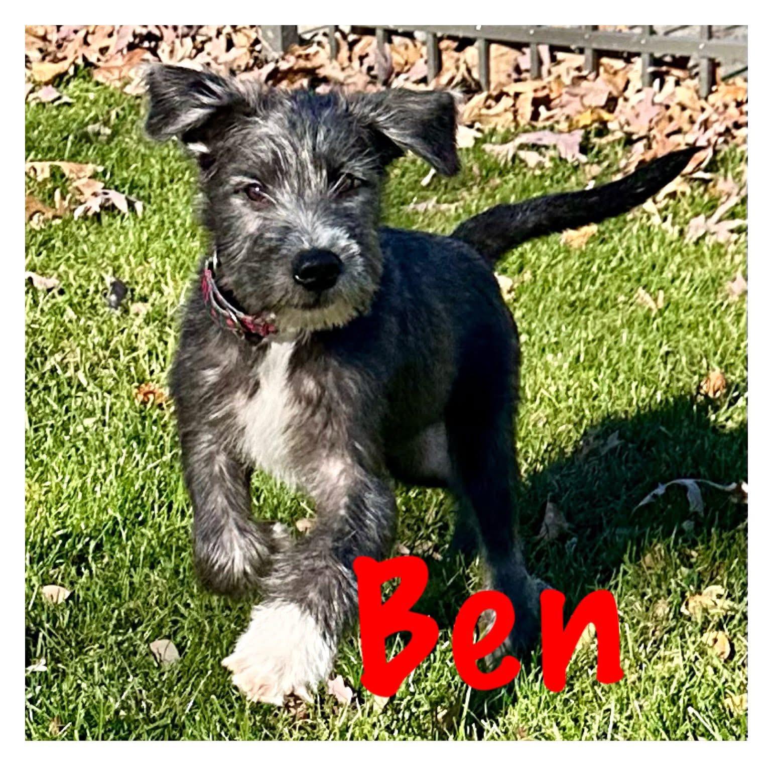 Ben