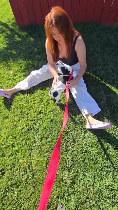 Enlarge Dotty, a Adoptable mixed breed in Livermore, CA video 5/6