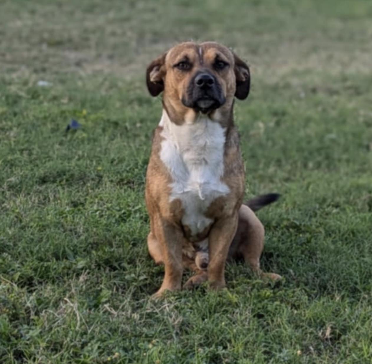 Zeus photo 3