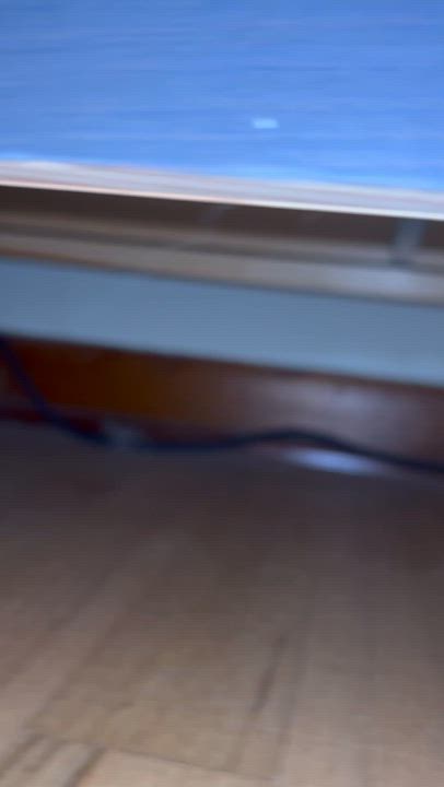 Enlarge Finn, a Adopted Domestic Short Hair in Farmington Hills, MI video 2/2