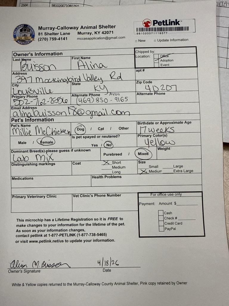 Enlarge Millie McChicken, a Adopted mixed breed in Murray, KY image 2/6