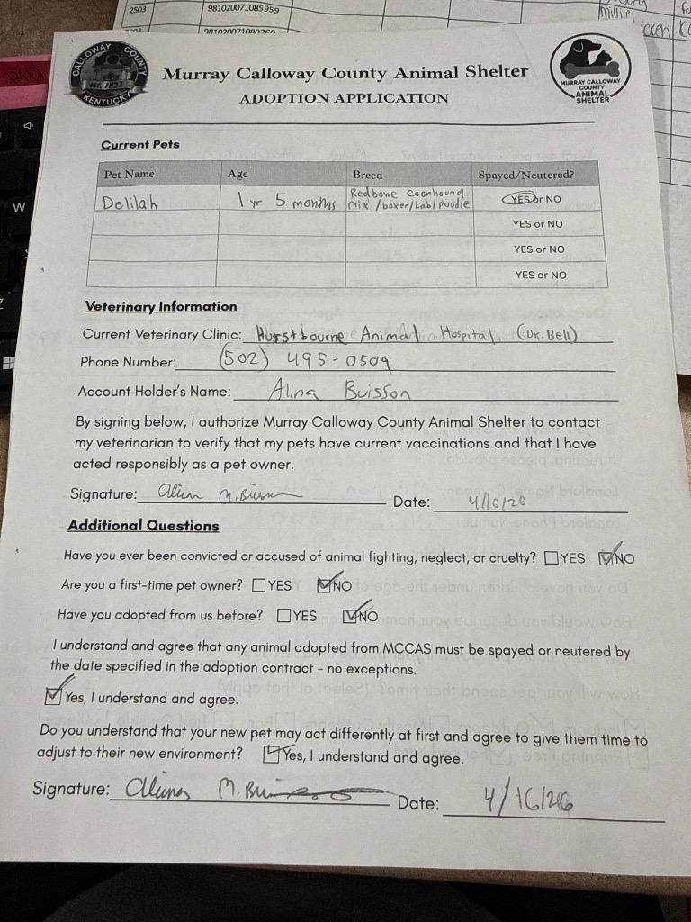 Enlarge Millie McChicken, a Adopted mixed breed in Murray, KY image 3/6