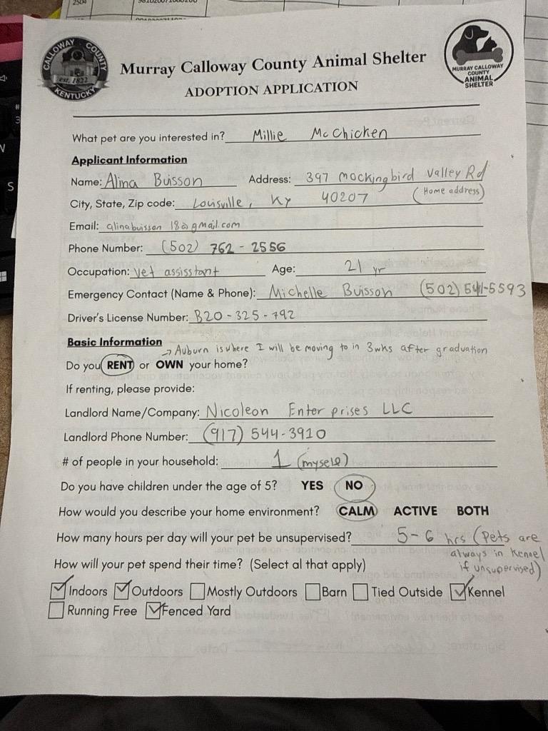 Enlarge Millie McChicken, a Adopted mixed breed in Murray, KY image 5/6