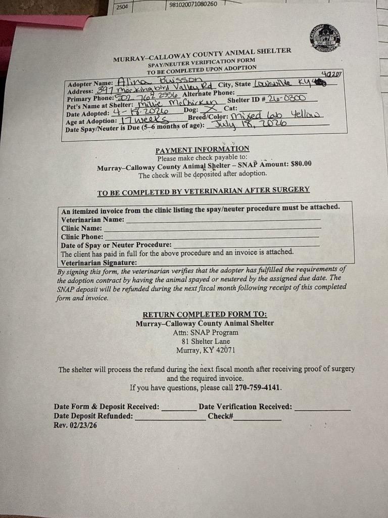 Enlarge Millie McChicken, a Adopted mixed breed in Murray, KY image 6/6