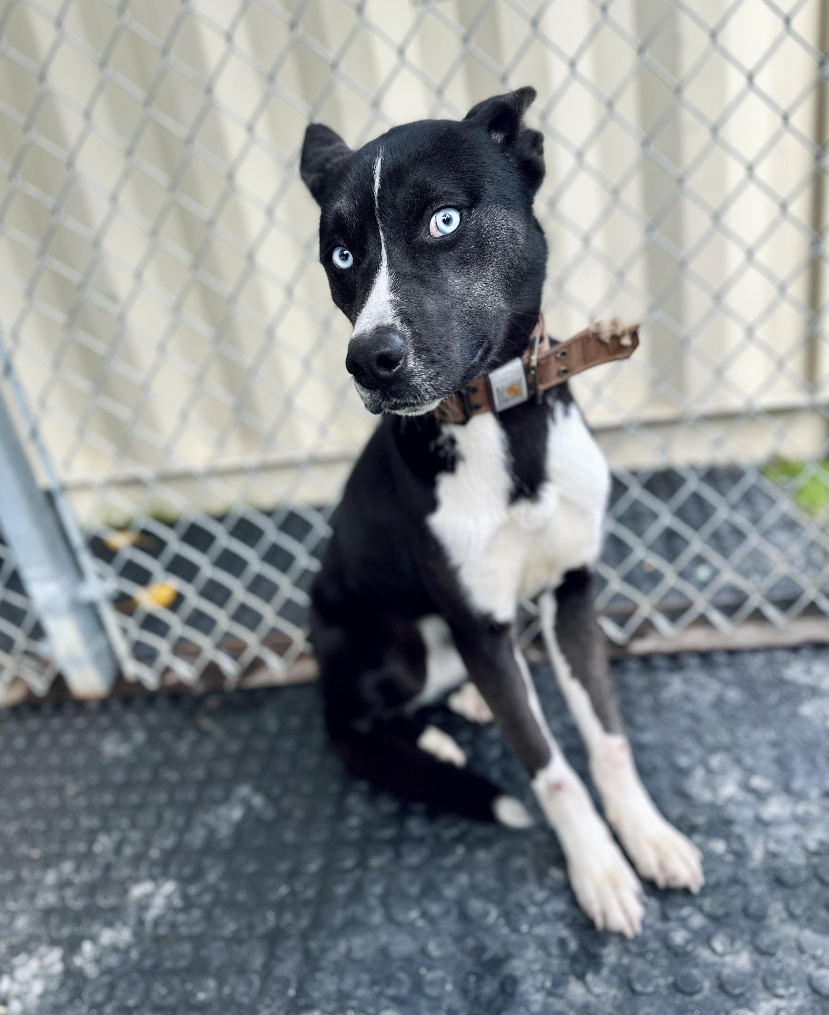 Dally 0125 — thumbnail 2