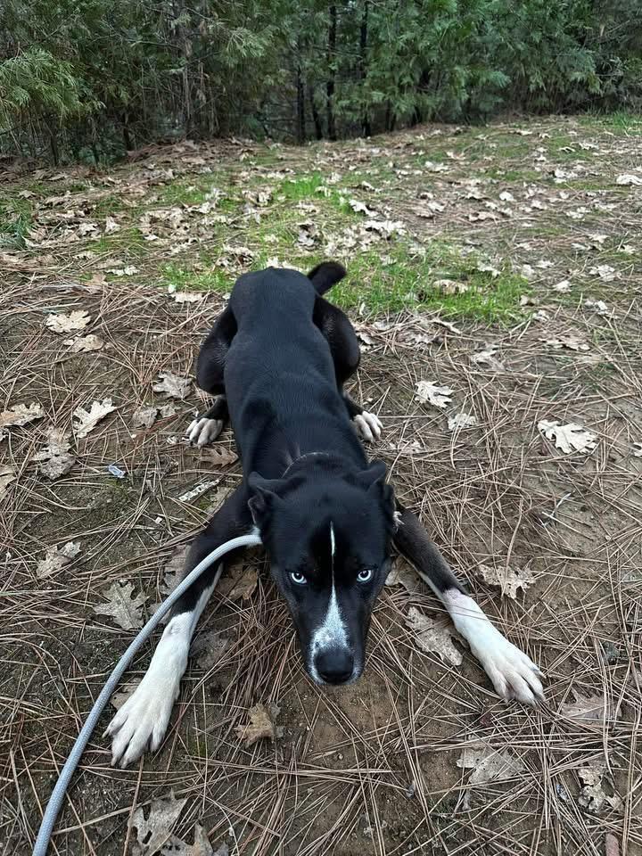 Dally 0125 — thumbnail 3