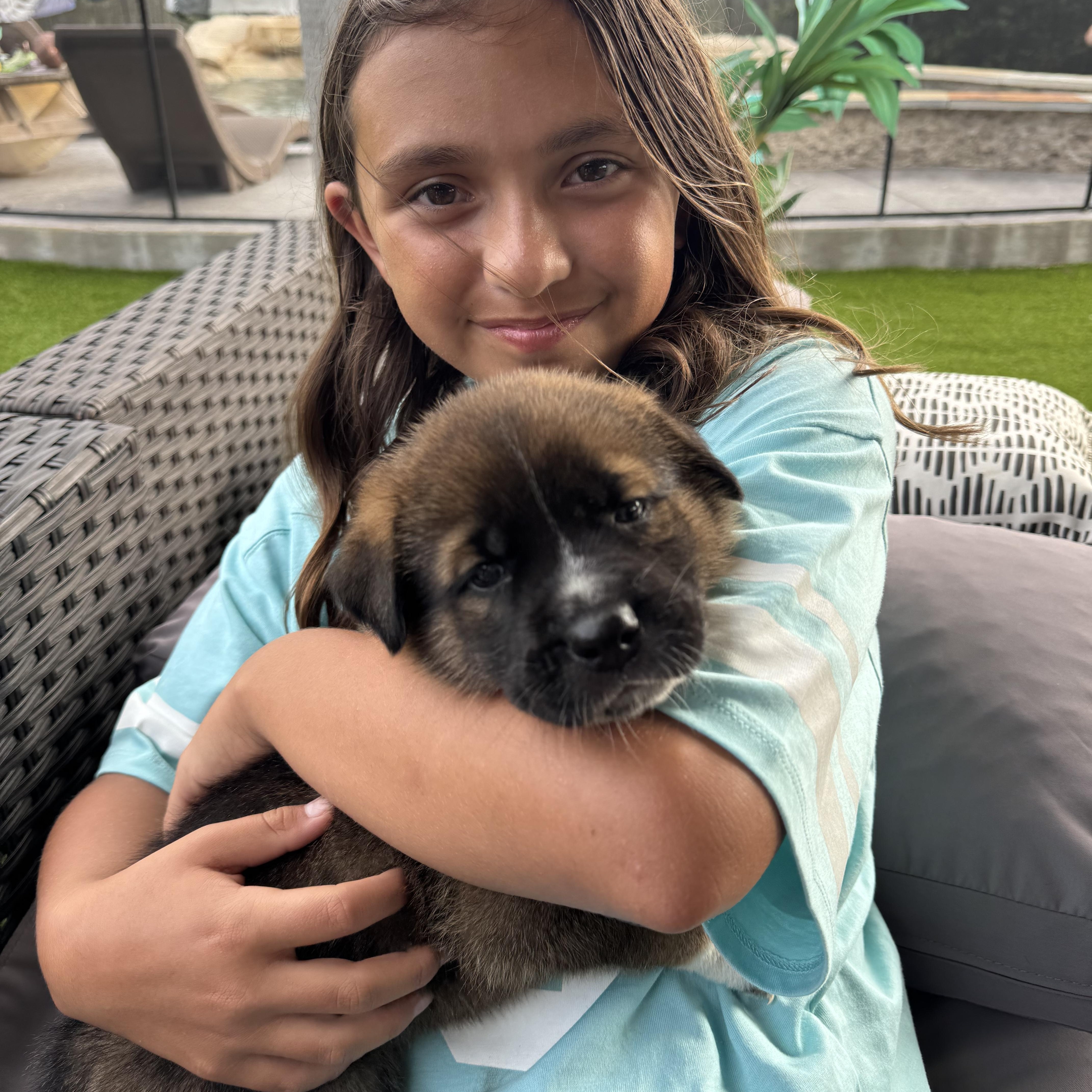 Mork, a ADOPTABLE mixed breed in Houston, TX image 4/4