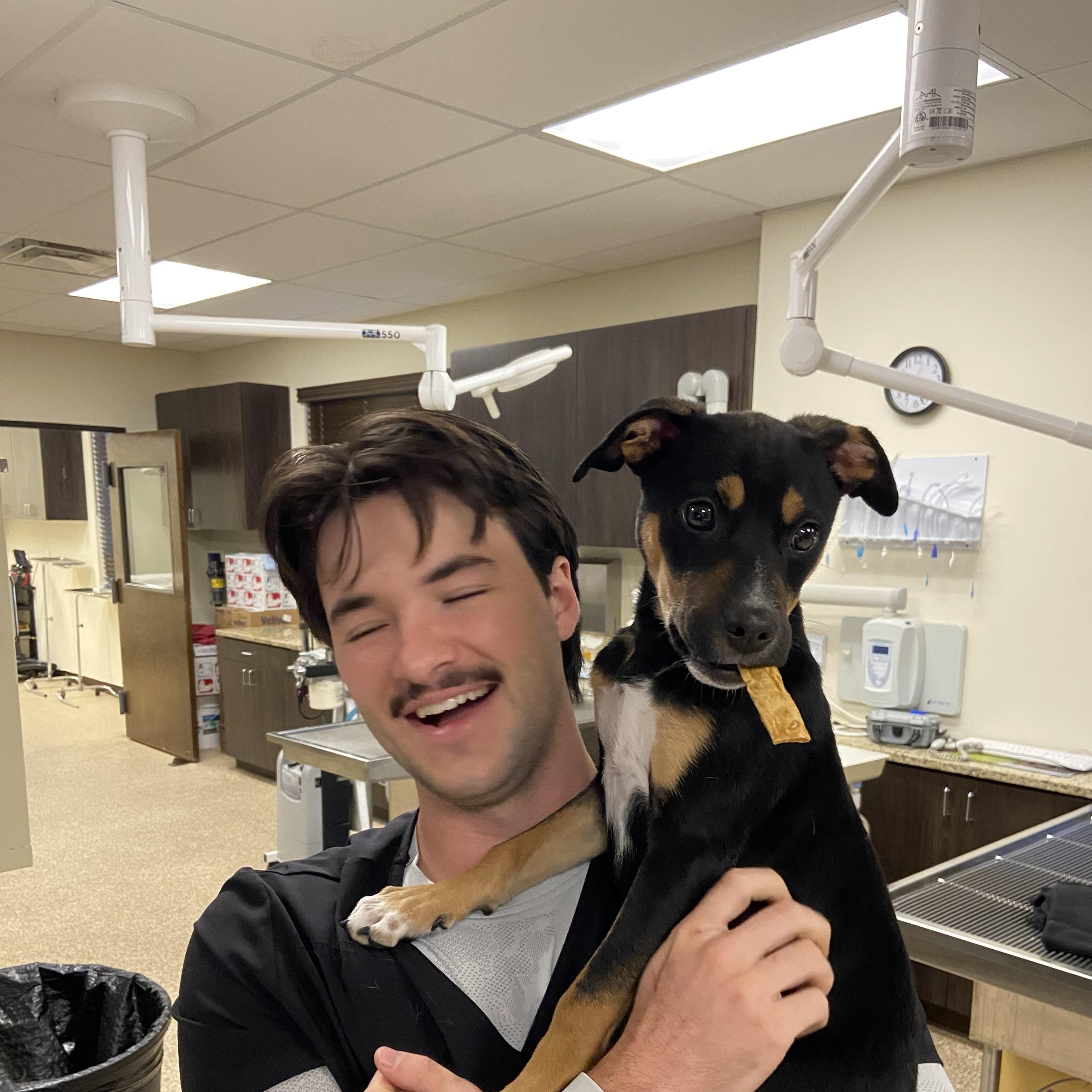 Enlarge Ratty Roger, a Adoptable mixed breed in San Antonio, TX image 2/5