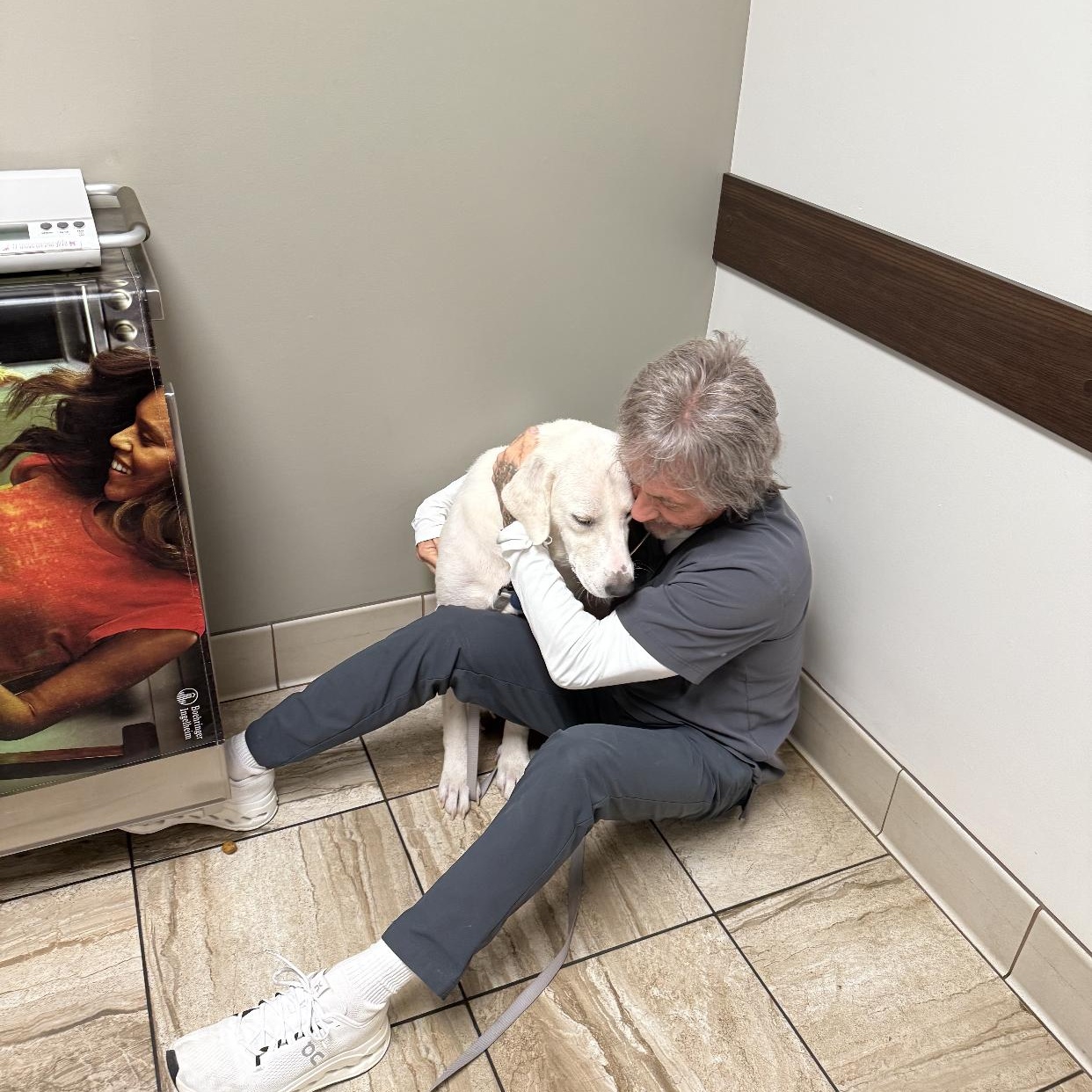 Enlarge Cherry, a Adoptable mixed breed in Pflugerville, TX image 3/4