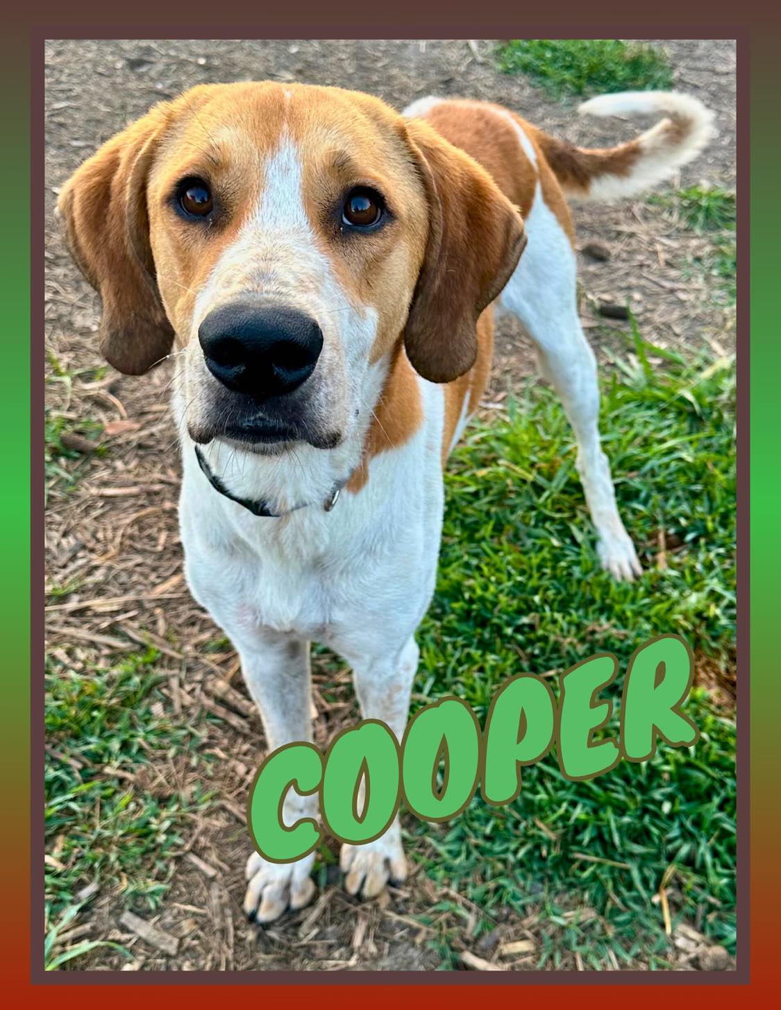 Super Duper Cooper