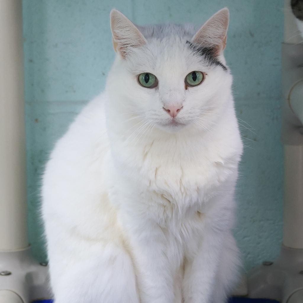 Sally Mae thumbnail 3