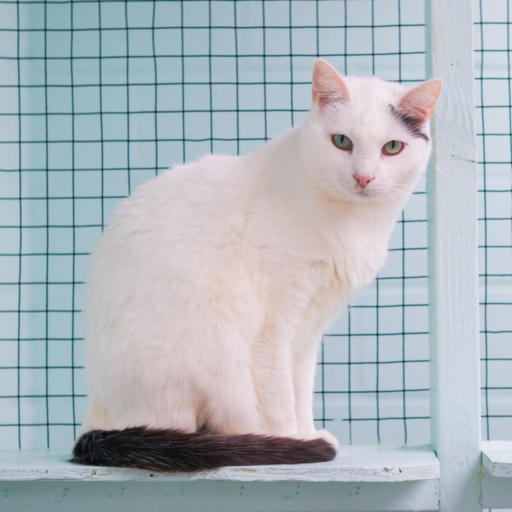 Sally Mae thumbnail 4