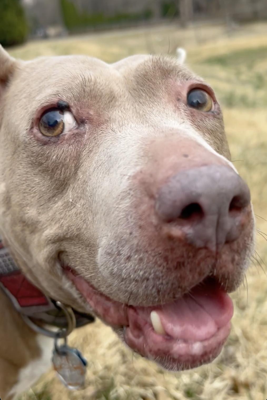 Juno — thumbnail 2