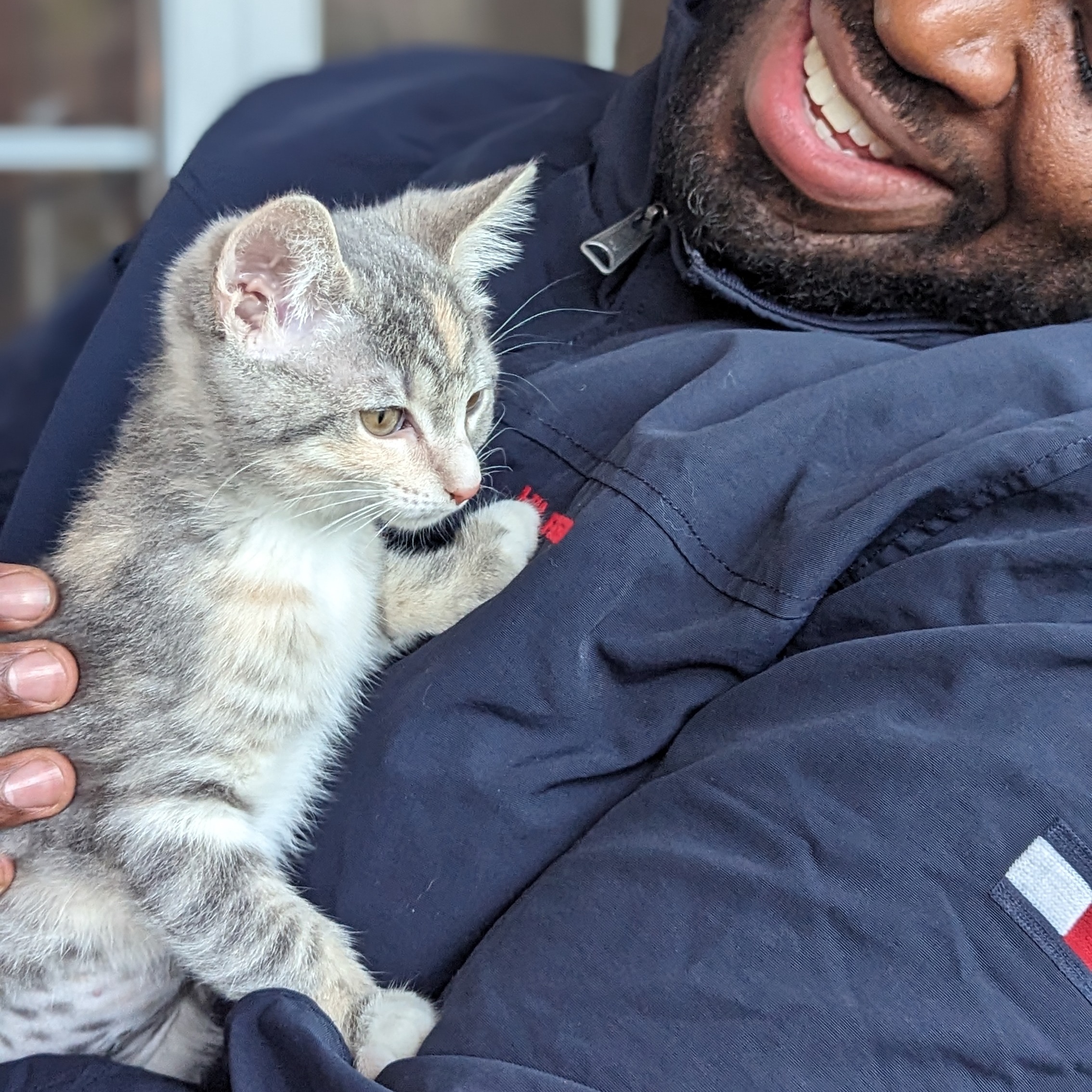 Enlarge Paisley (Patterns Litter), a Adopted mixed breed in Tucker, GA image 5/6