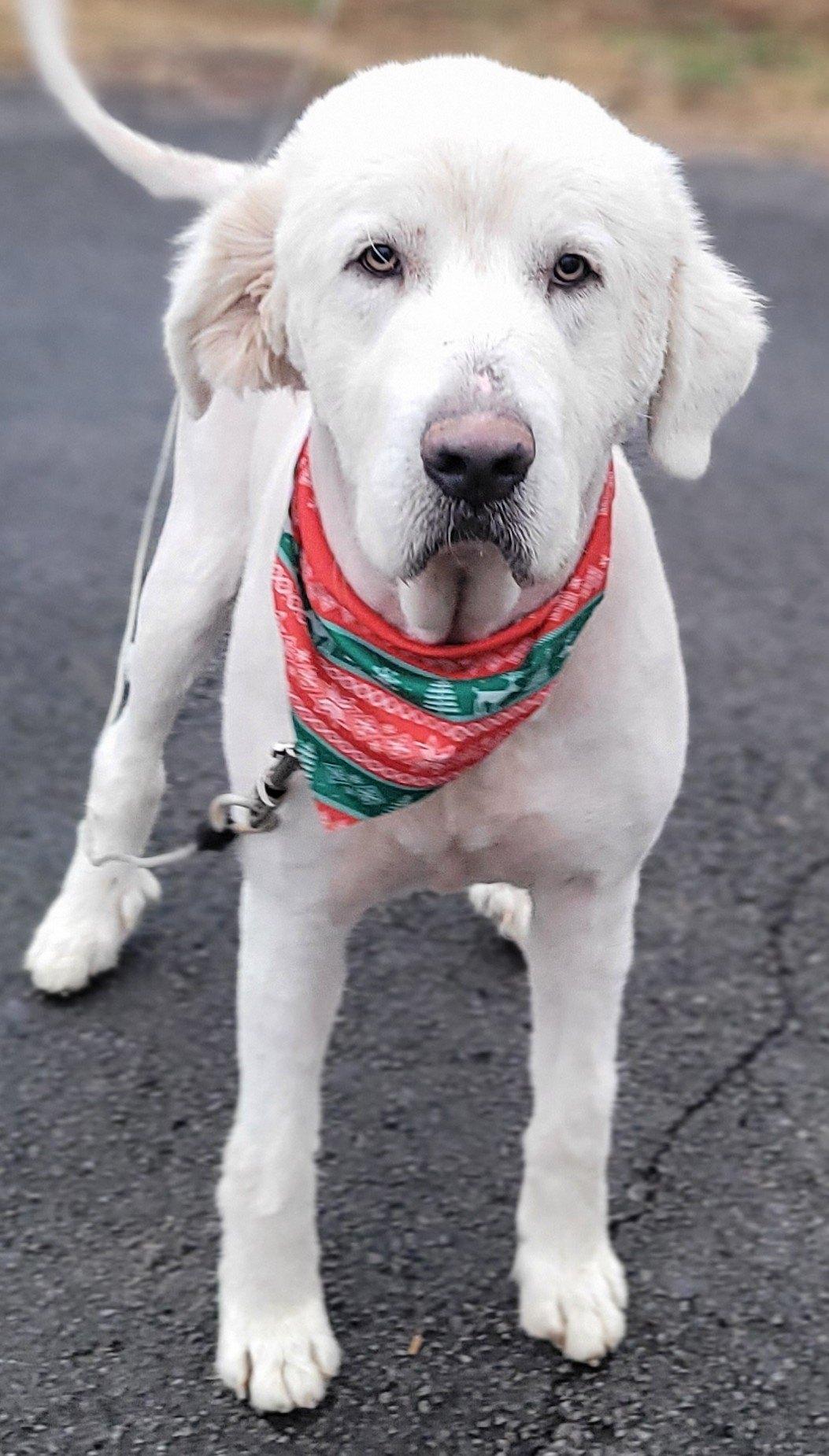 Preacher thumbnail 2