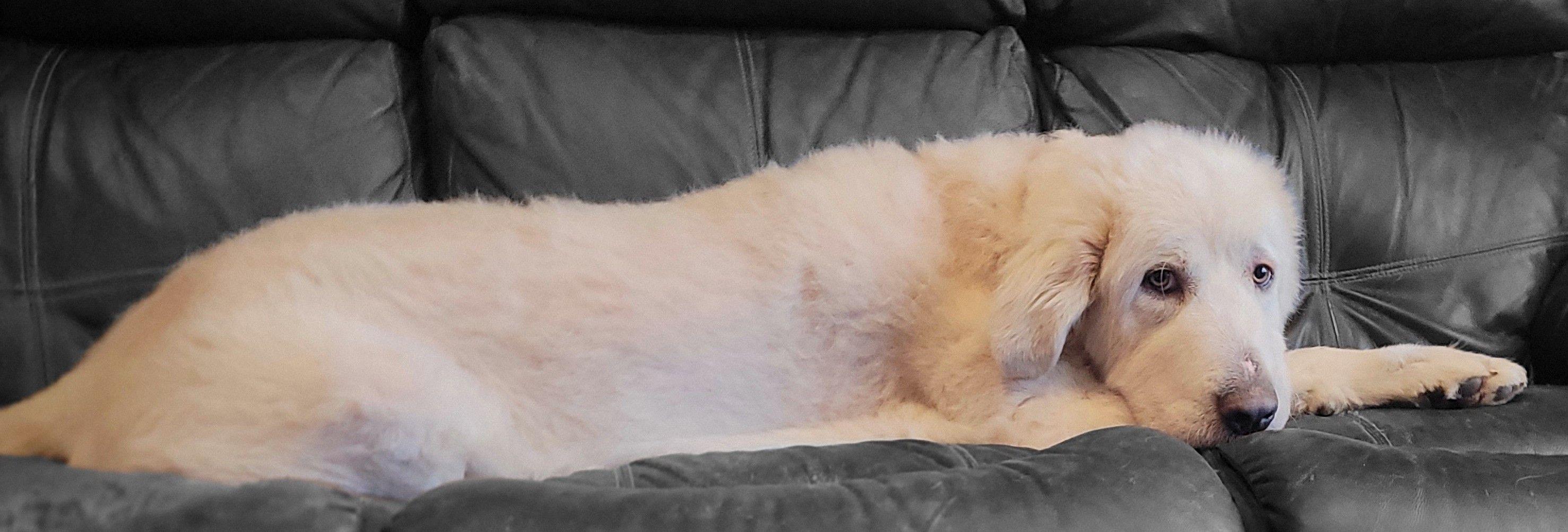 Preacher #2 — thumbnail 5